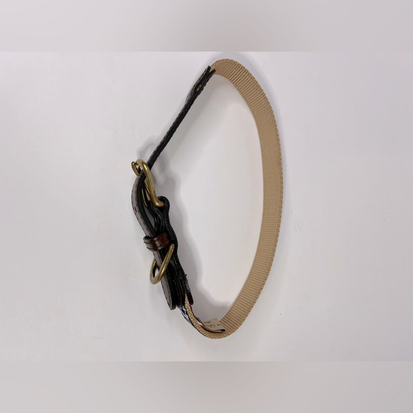 Auburn Leathercrafters Dog Collar - Picture 3 of 5